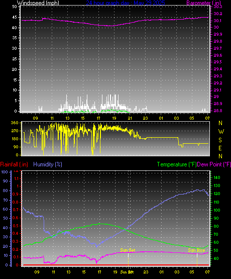 24 Hour Graph for Day 29