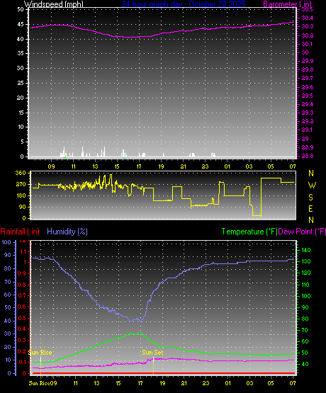 24 Hour Graph for Day 28